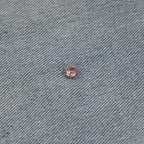 Embroidered Denim Shorts