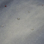 Embroidered Denim Shorts