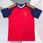 National team jersey